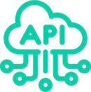 Custom API Development